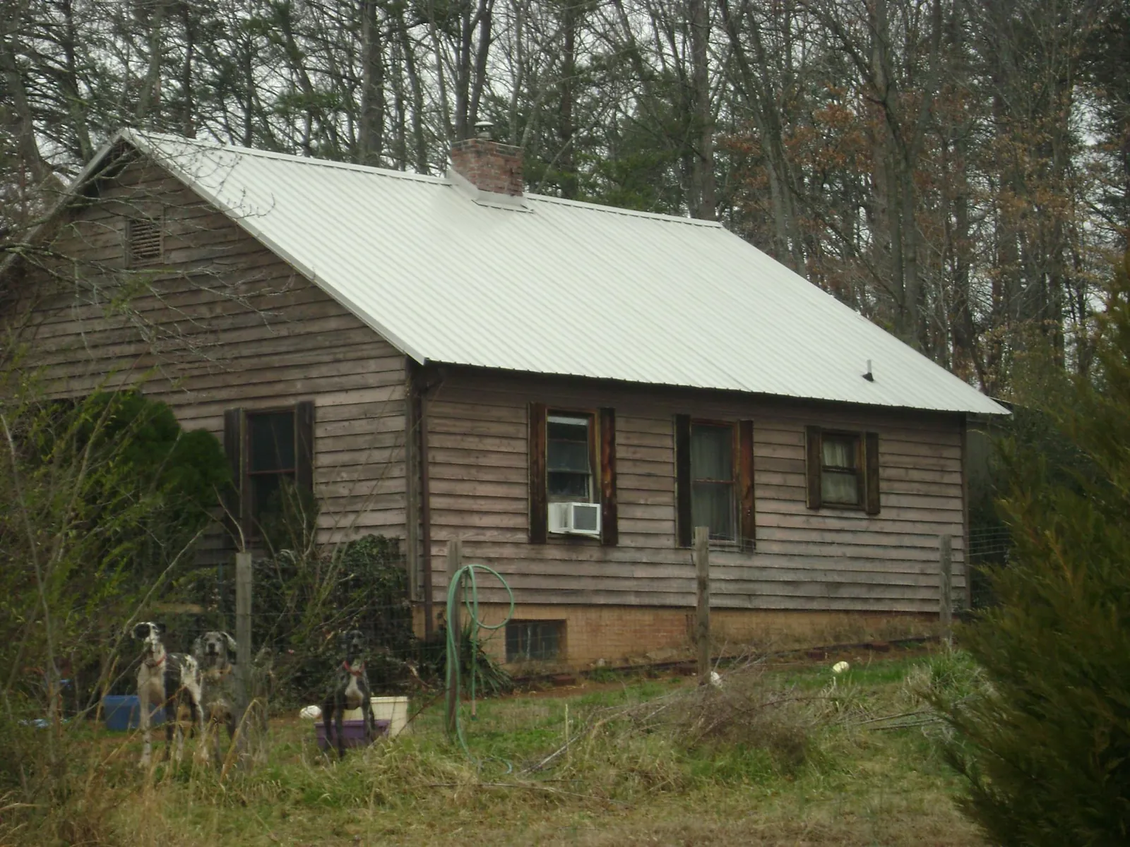 White metal roof on an old wood sided farmhouse, from a Asphalt Shingle Roof Repair job in Boise